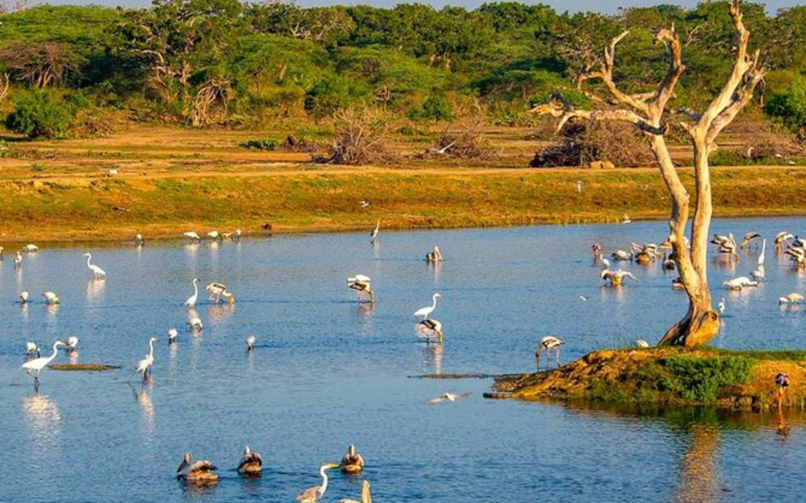 Hambantota & Bundala