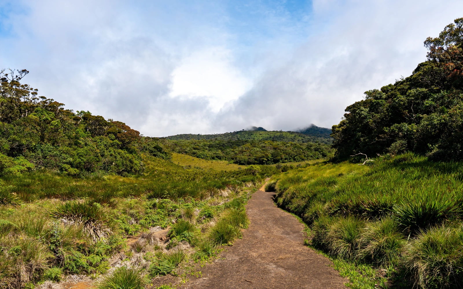 Horton Plains & World's End