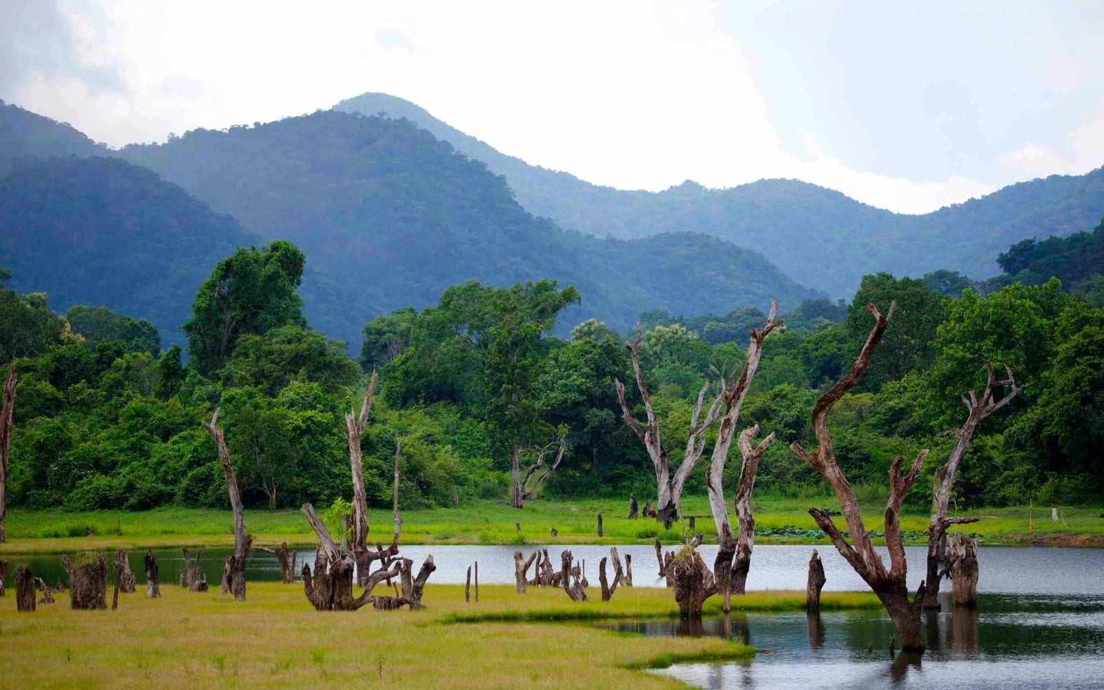 Gal Oya National Park