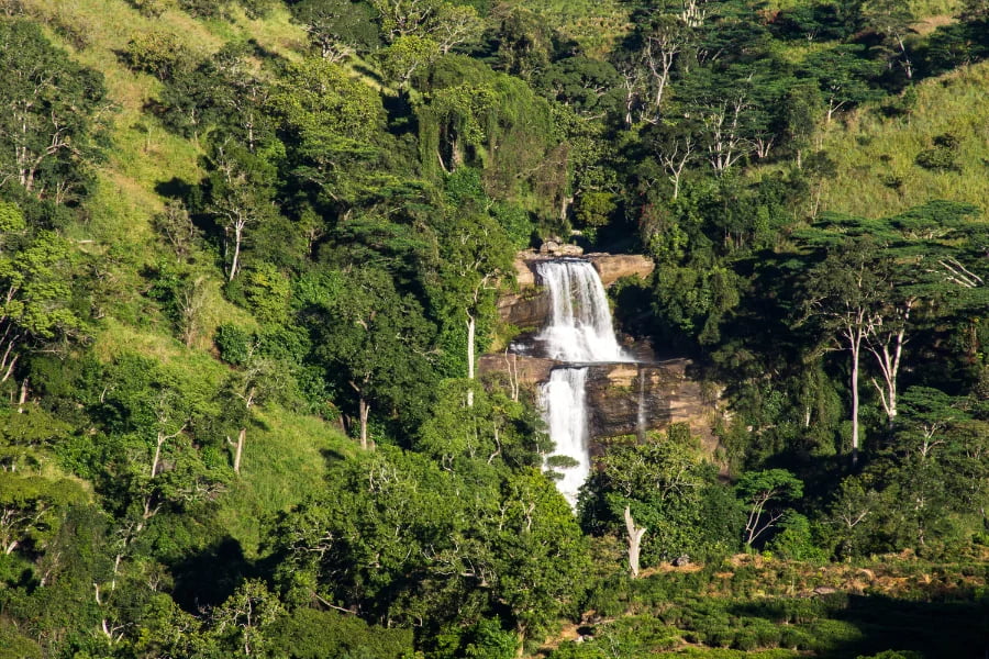 The Central Highlands