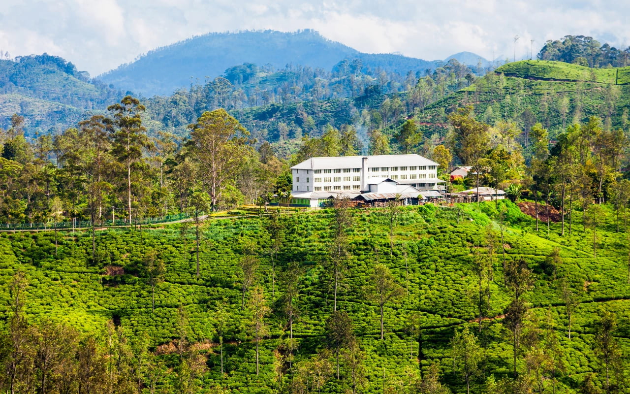 The Art Of Slowing Down