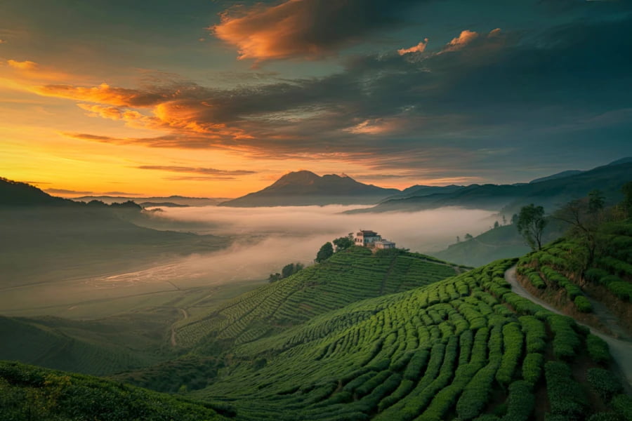 Nature Immersion