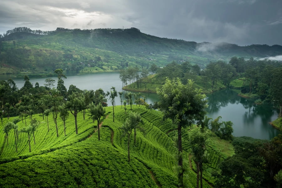 Mountain Wellness Retreats