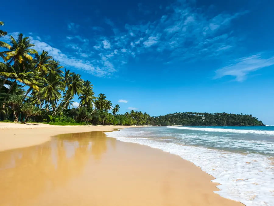 Where The Ocean Sets The Pace