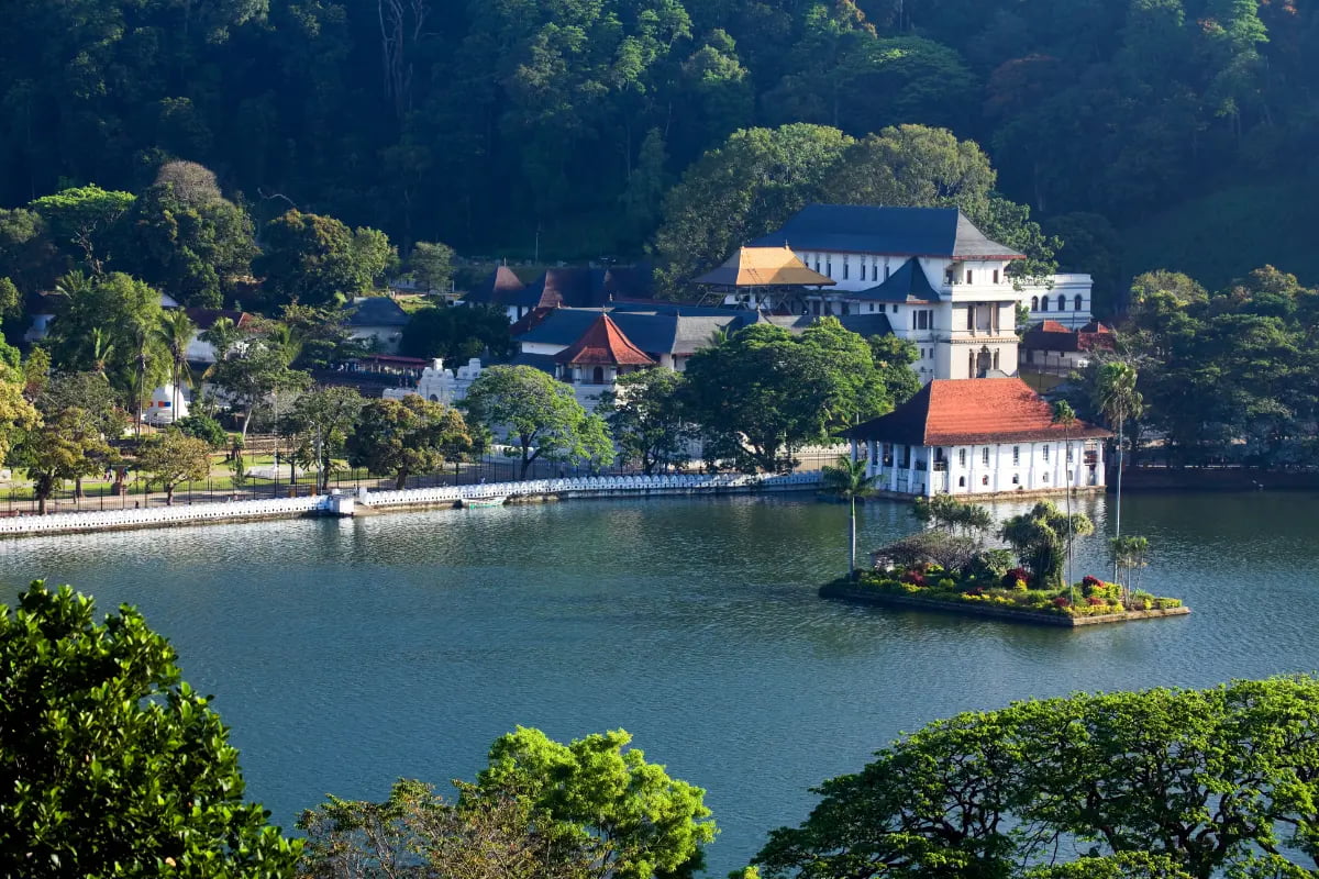 Kandy & Highlands