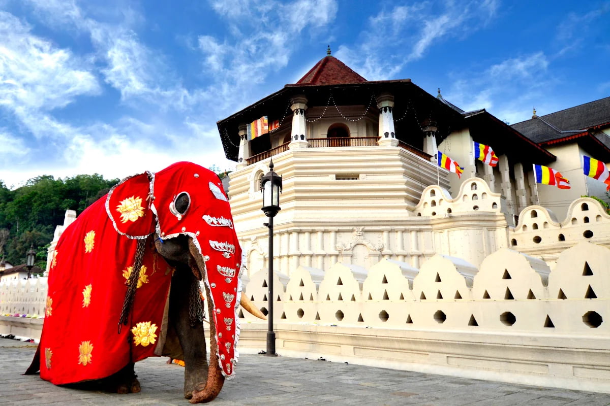Kandy & Tea Country