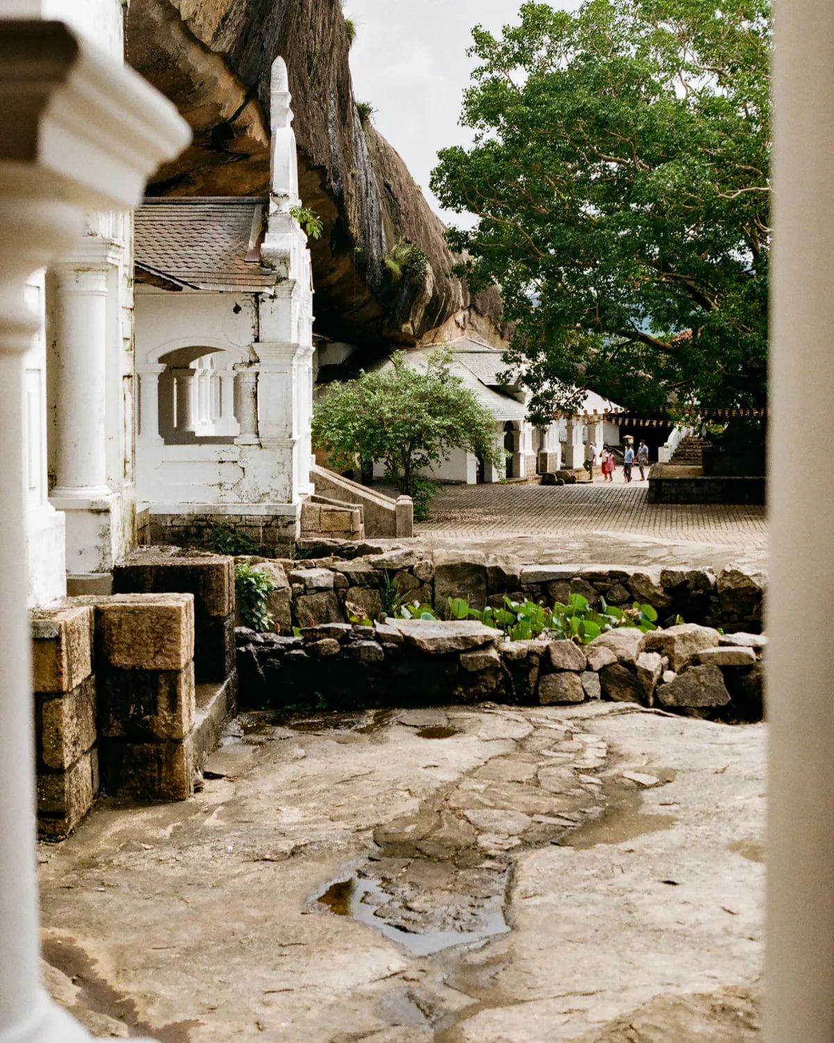 Heritance Kandalama — location
