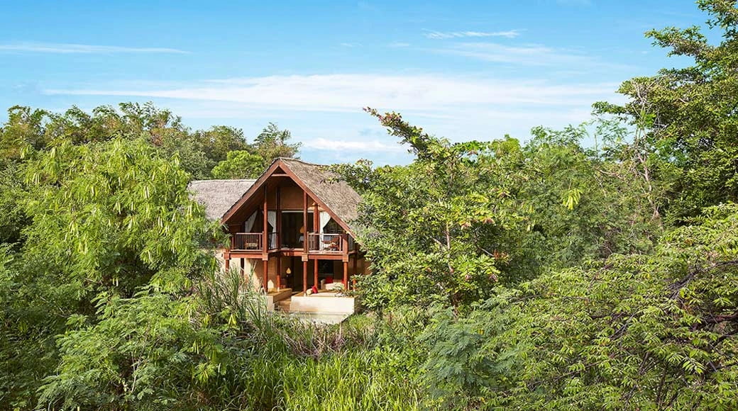 Forest Dwelling with Pool