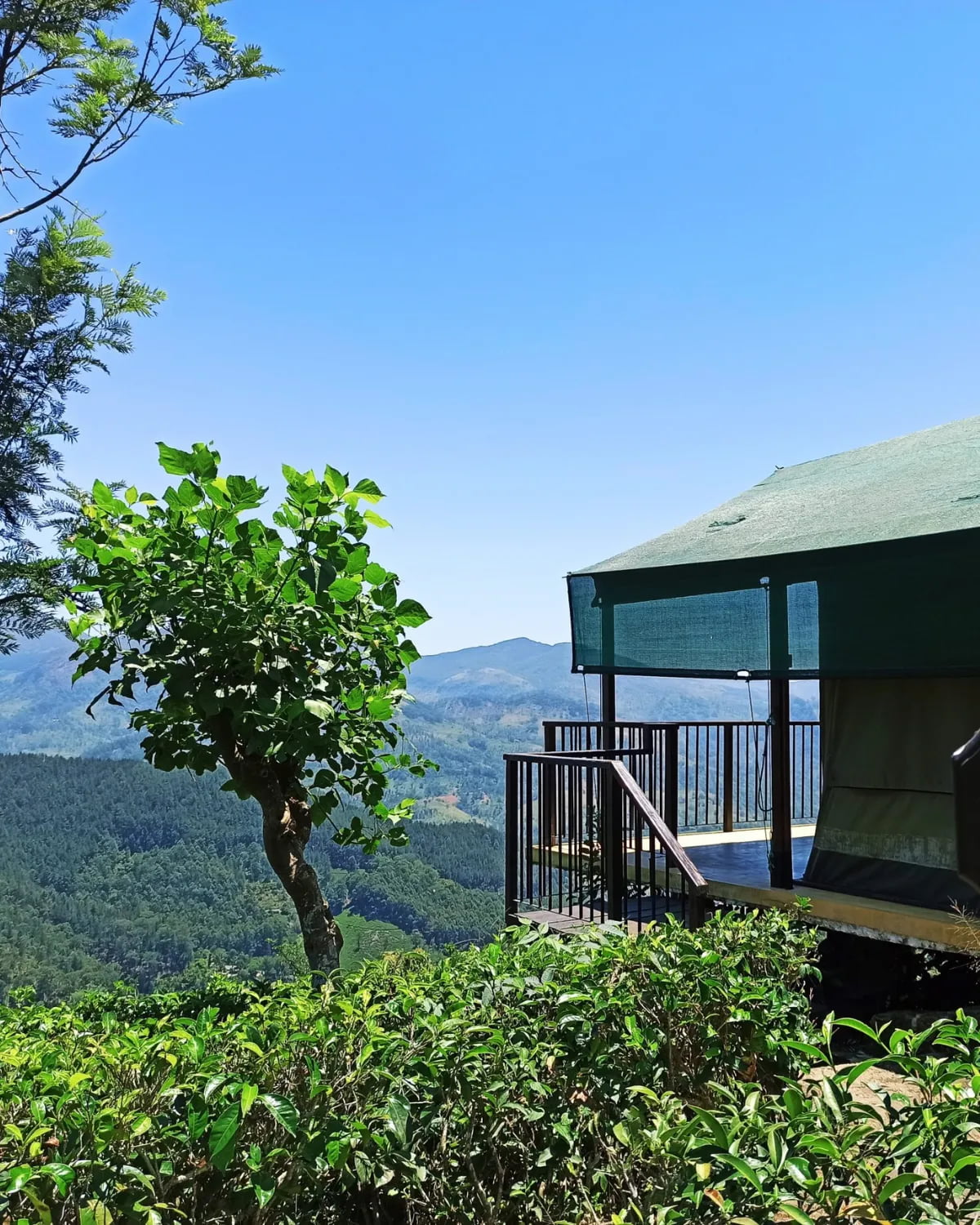 Madulkelle Tea & Eco Lodge — location