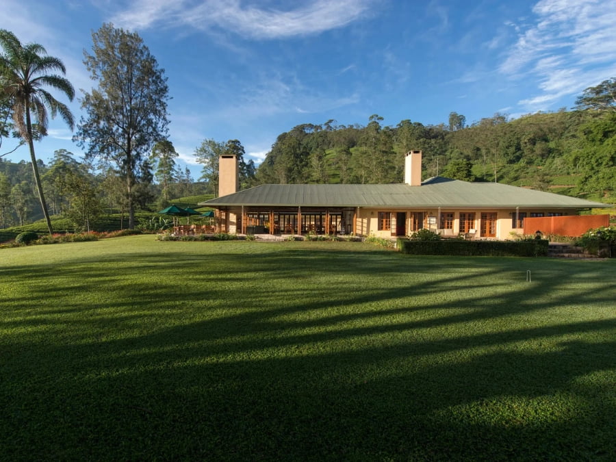 Ceylon Tea Trails
