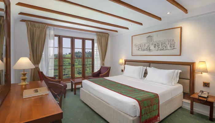Premium King/Twin Rooms
