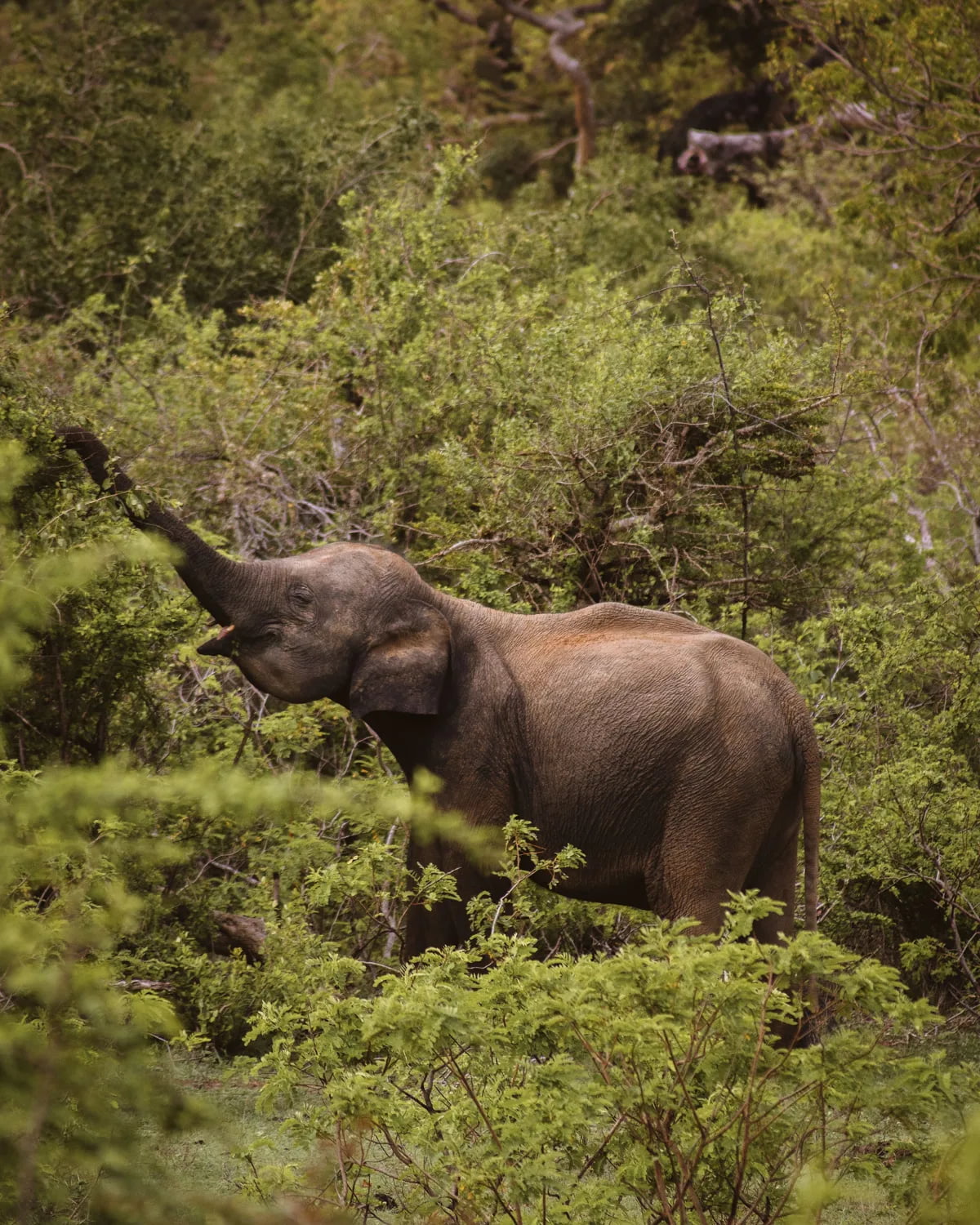 Wild Coast Tented Lodge — location