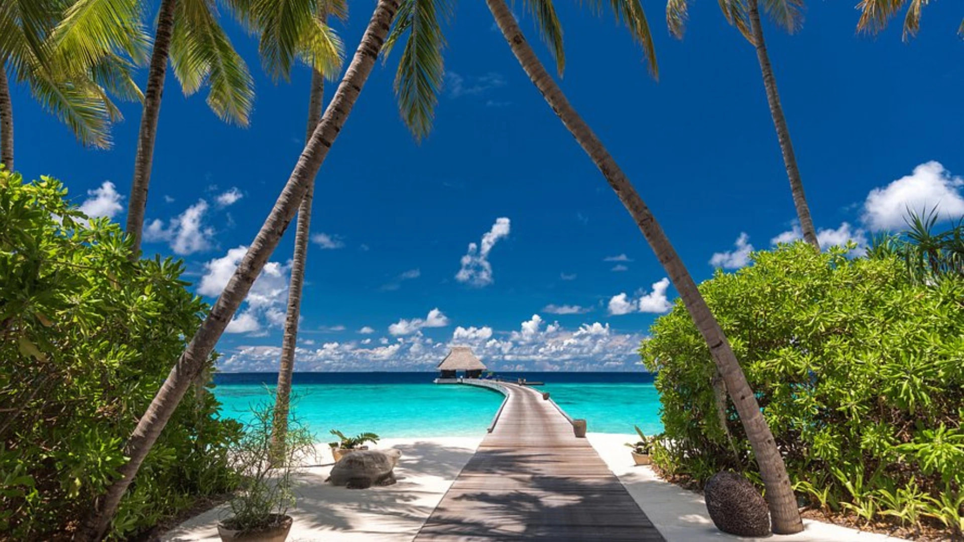 Velaa Private Island